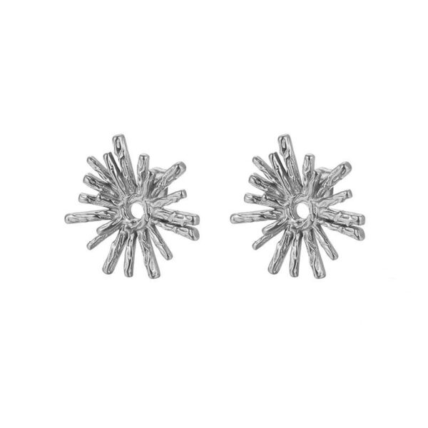 Silver sparkling star