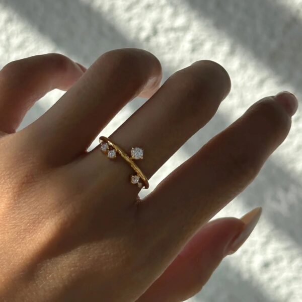 Celestial ring - Imagen 2