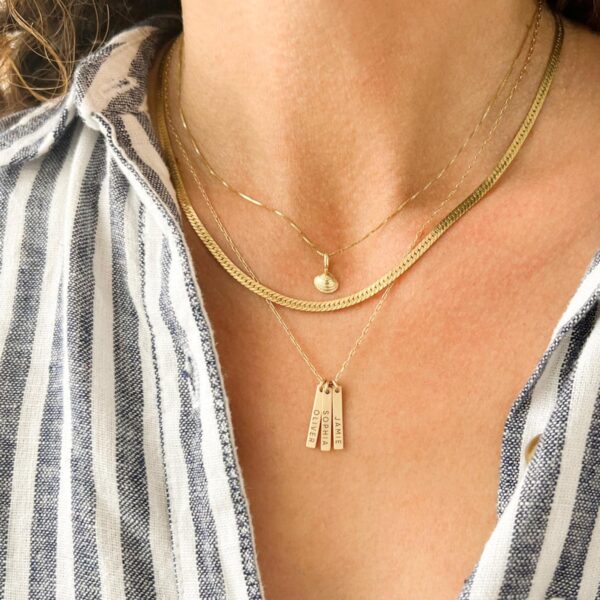 Collar Barra Nombres - Imagen 2