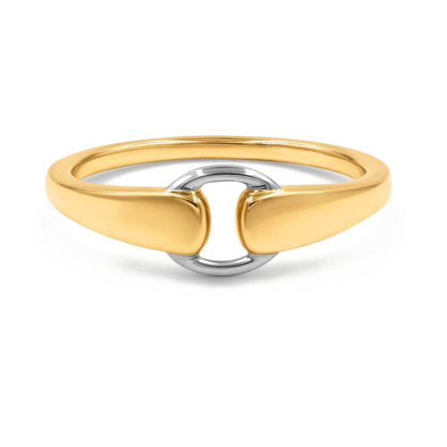 Two-Toned Buckle Ring